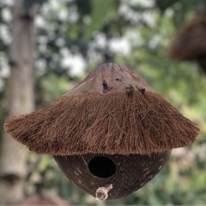 Vogelhuisje van een kokosnoot