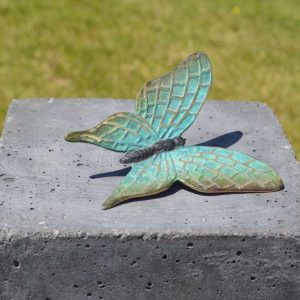 Bronzen blauwe vlinder