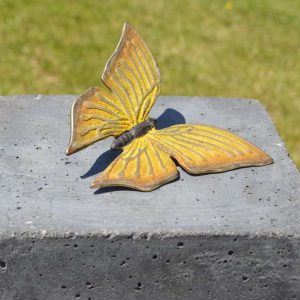 Bronzen gele vlinder