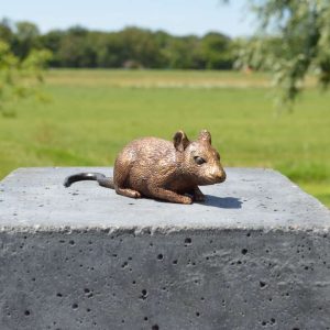 Bronzen muis (laag)