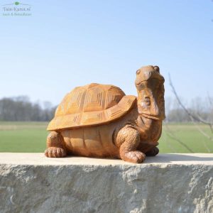 Tuinbeeld Schildpad