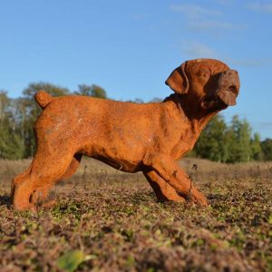 Hondje