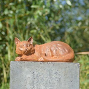 Tuinbeeld lieve poes