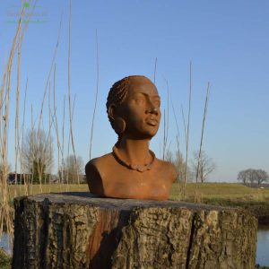 Buste van een afrikaanse vrouw met ketting