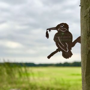 IJsvogel roest