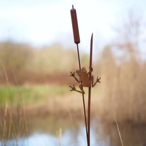 kikker op lisdodde